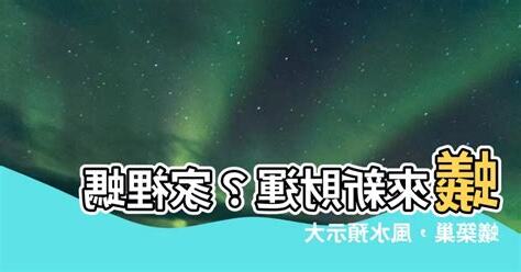 螞蟻穴風水