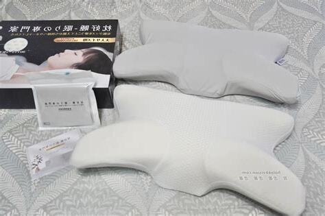 枕頭不能買一顆