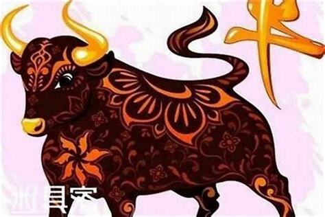 牛五行属什么