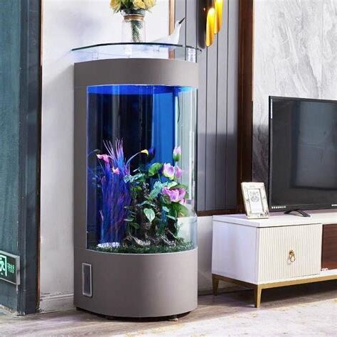 魚缸放電視旁