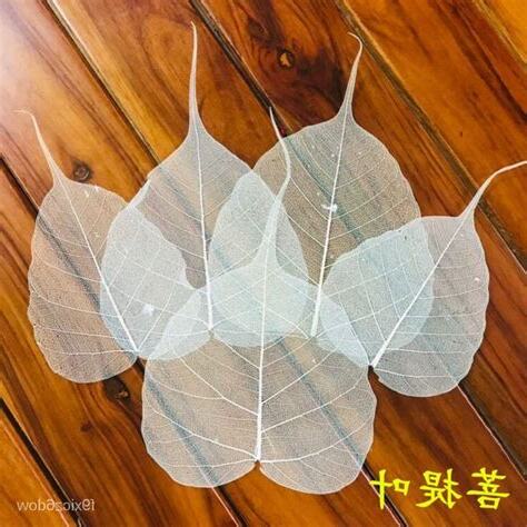 菩提葉茶禁忌