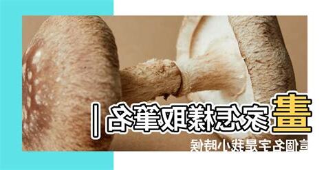 筆名怎麼取