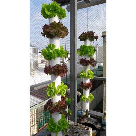 吊掛植栽