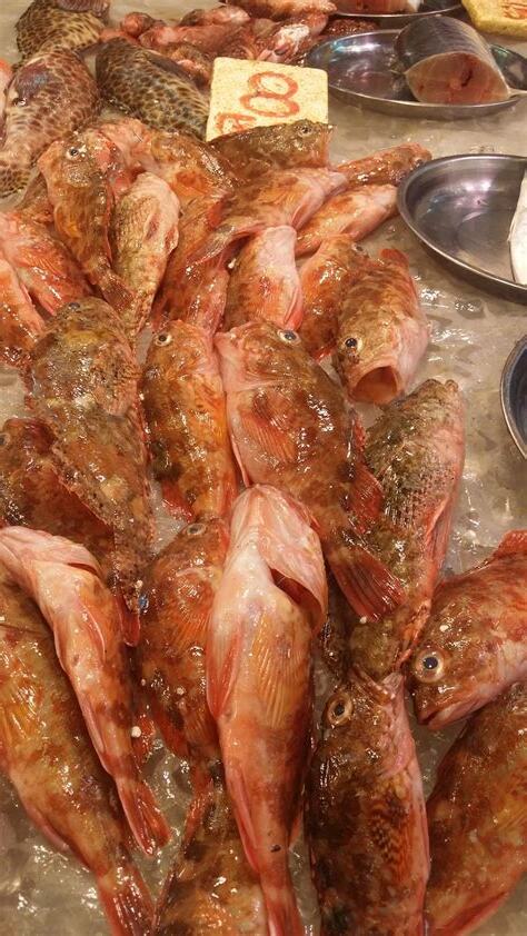石崇魚禁忌