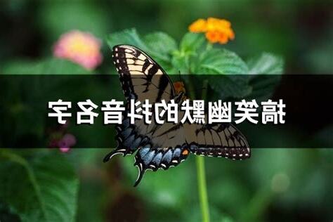 幽默名字
