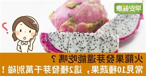 火龍果一天可以吃多少
