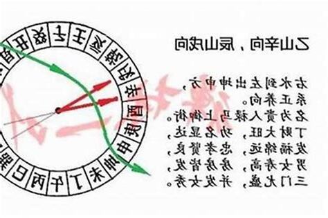 卯的五行