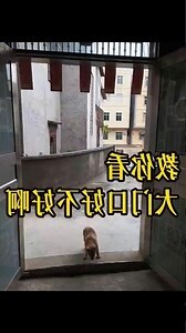 一眼断风水