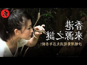 風水螺