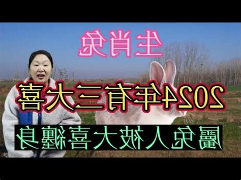 屬兔適合方位