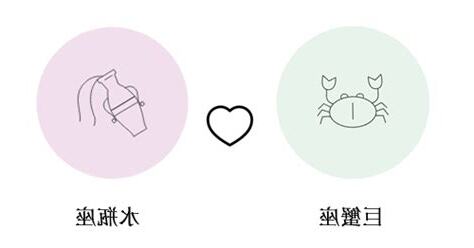 巨蟹和水瓶