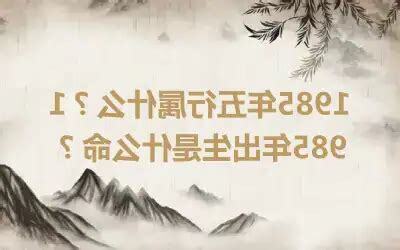 1985年五行