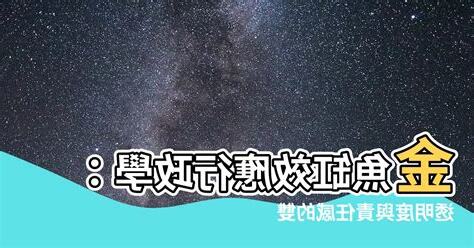 金魚缸效應行政學