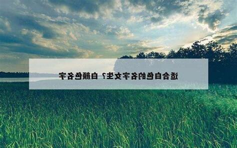 有關白色的名字