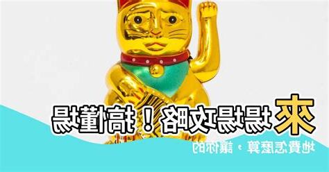 場地費怎麼算