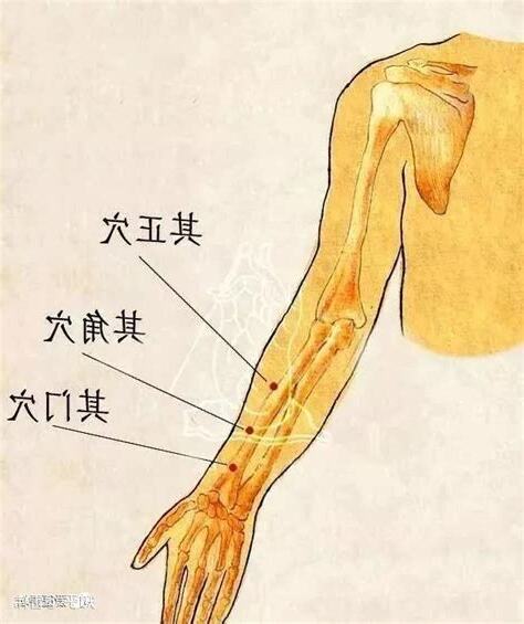 三其穴