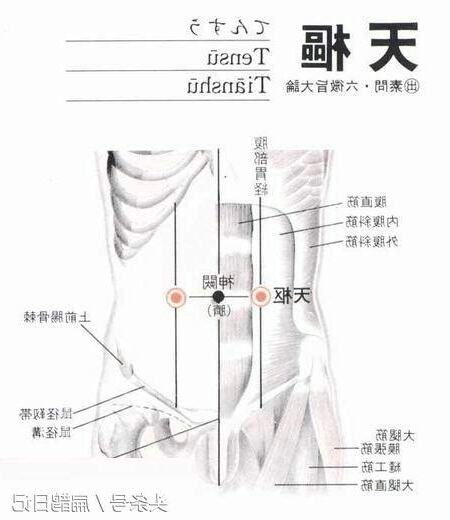 天樞穴