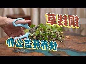 銅錢意思