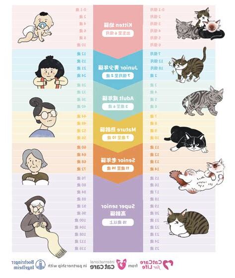 對照圖