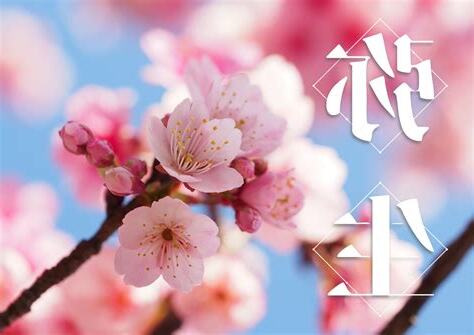春暖花開意思