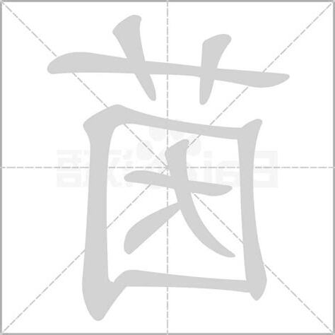 茵字五行
