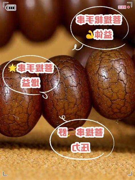 菩提的功效
