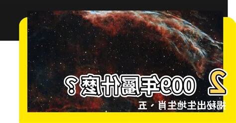 2009年屬什麼