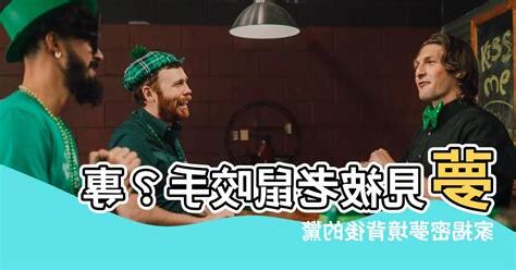 夢見被老鼠咬手