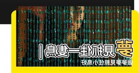 夢到一隻鳥號碼