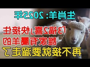 屬羊的