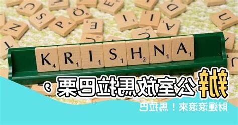 馬拉巴慄擺放位置