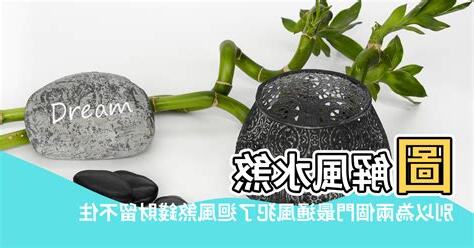雙門風水