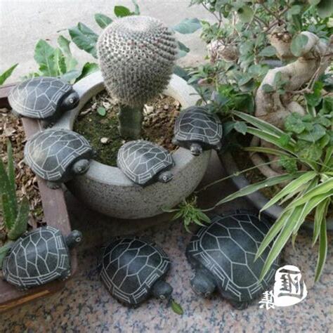 風水龜