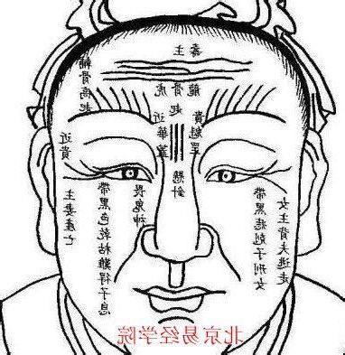 額頭有皺紋面相