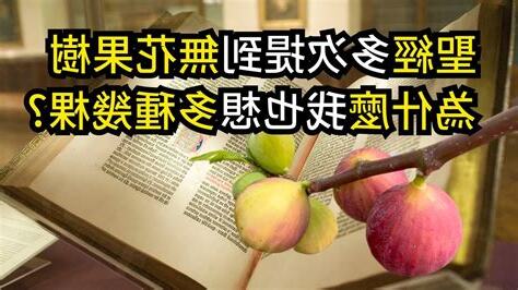 無花果樹聖經