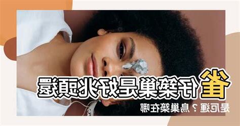 雀仔築巢風水