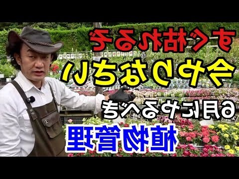 家庭不順