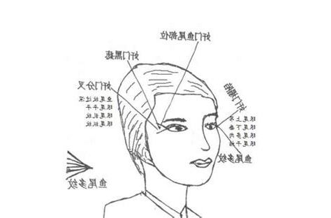 眼尾上挑