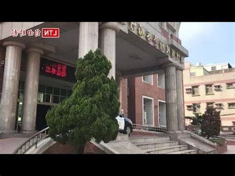 龍柏風水