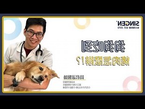 永昌動物醫院