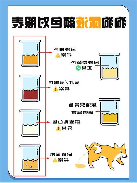 狗狗尿液顏色