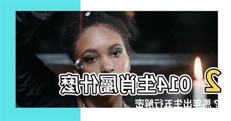 2014年生肖五行
