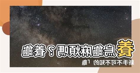 養烏龜麻煩嗎