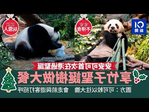 竹子節
