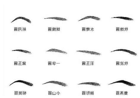 眉毛面相女