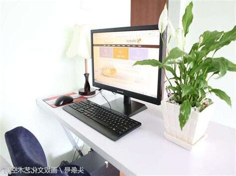 辦公桌盆栽擺放位置