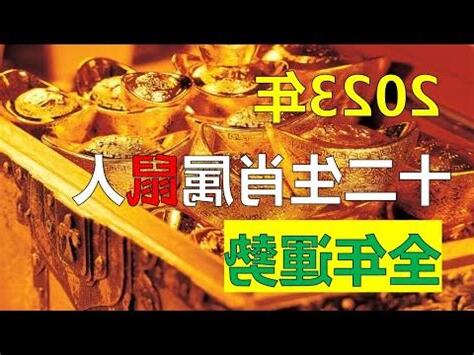 2023年屬性