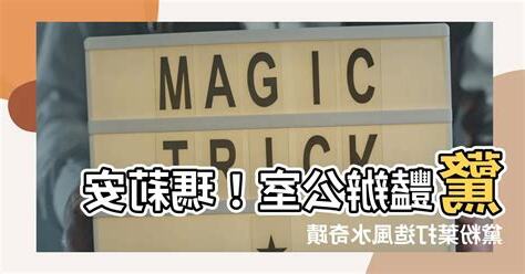 瑪莉安黛粉葉風水