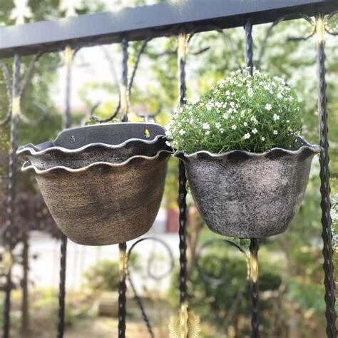植物吊掛