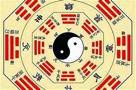 五行缺水木